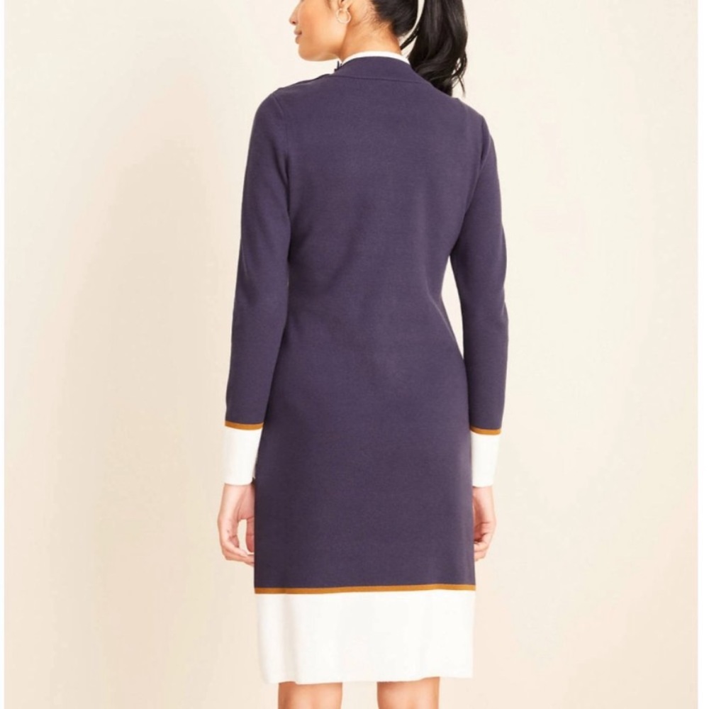 Ann Taylor Colorblock Sweater Dress - Picture 4 of 7